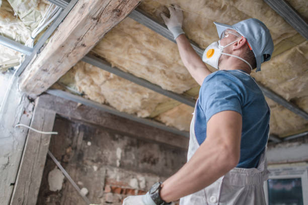 Best Residential Insulation in Stuarts Draft, VA